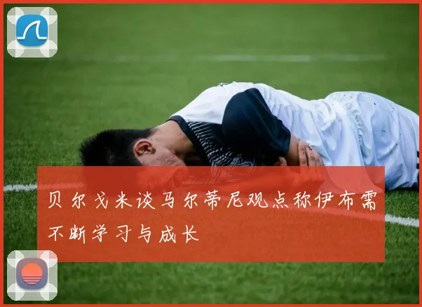 贝尔戈米谈马尔蒂尼观点称伊布需不断学习与成长