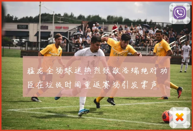 猛龙全场球迷热烈致敬洛瑞绝对功臣在垃圾时间重返赛场引发掌声